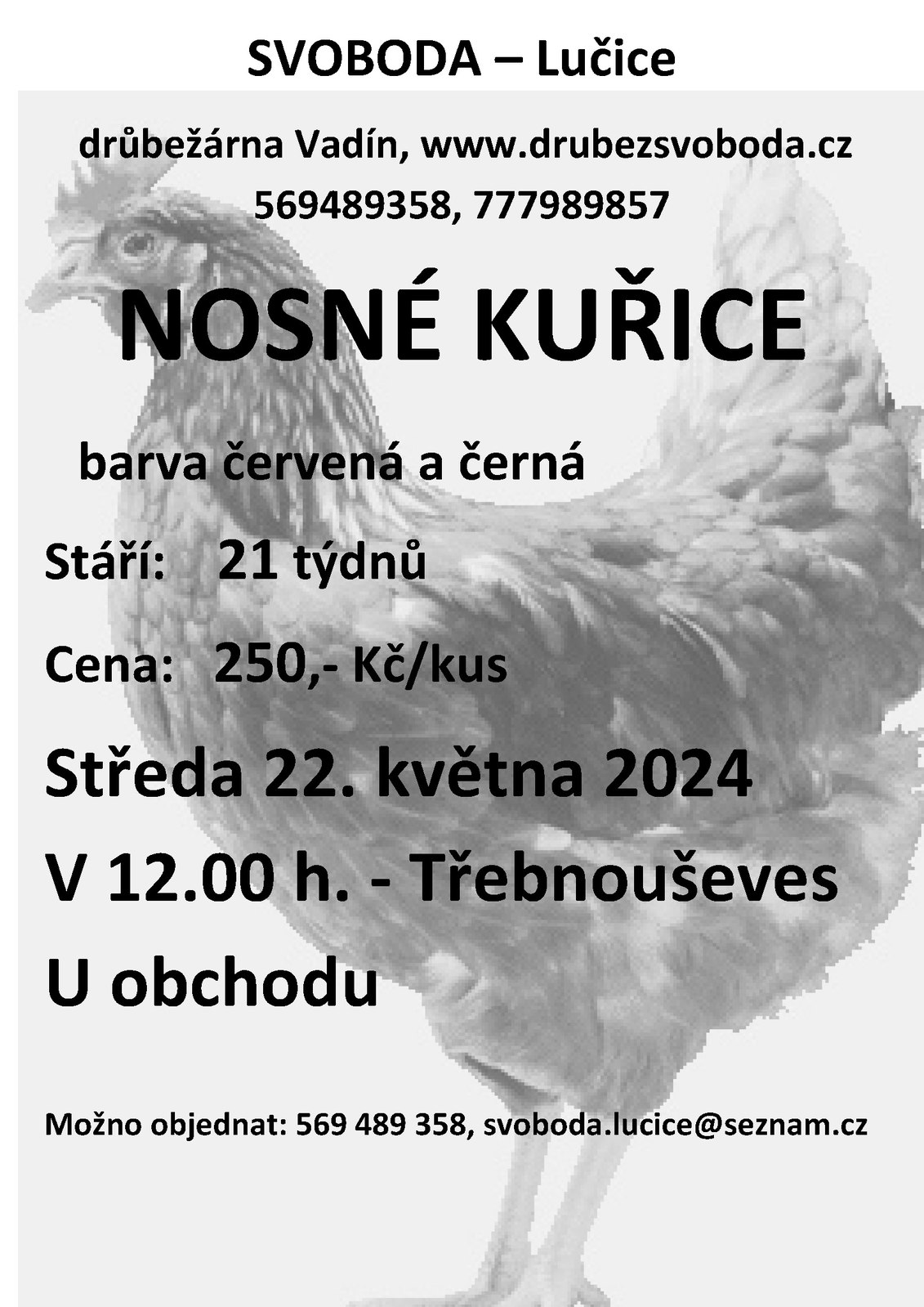 Drůbežárna Vadín - prodej nosných kuřic 22.5.2024.jpg